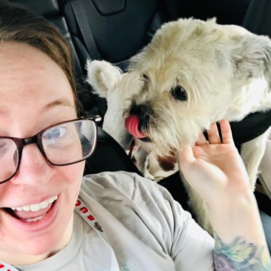 Paw Patrol Dayton's October 2024 Volunteer of the month, with her dog in the car