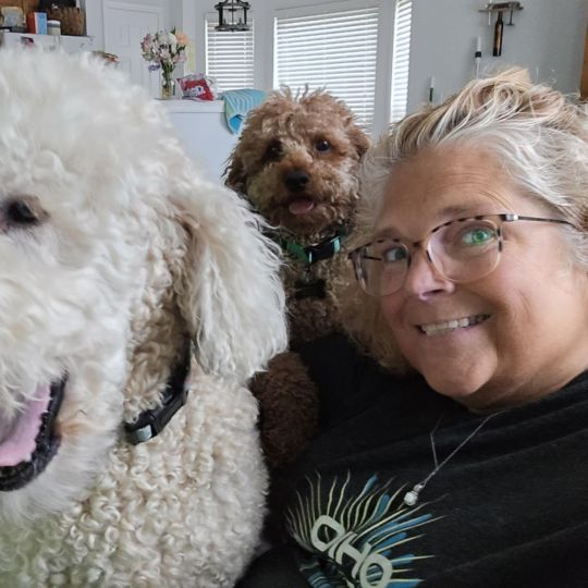 Dara Hardyman with her two dogs